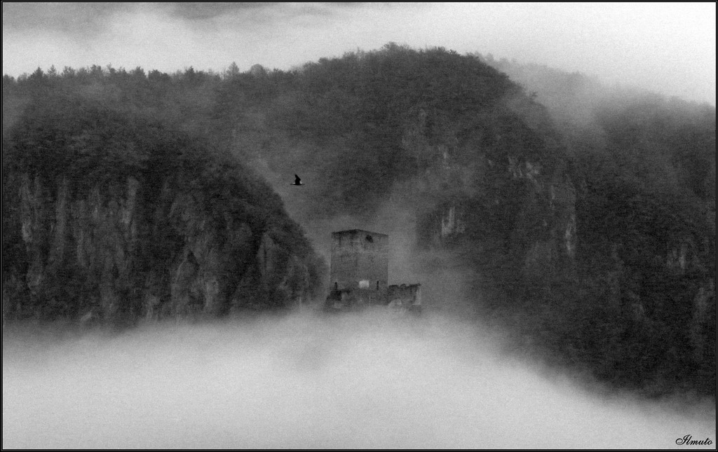 Fra sogno e realt�...