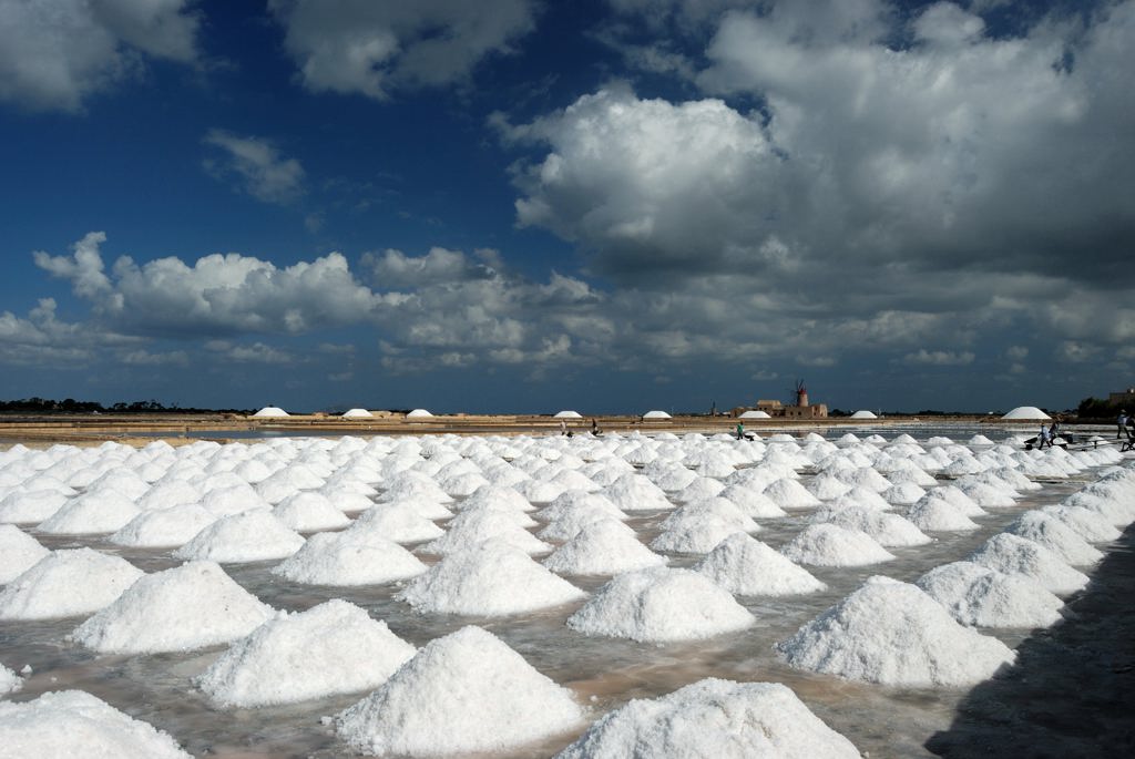 Raccolta del sale 02