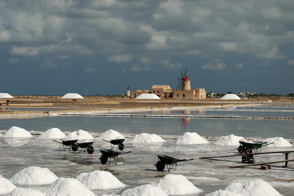 Raccolta del sale 03