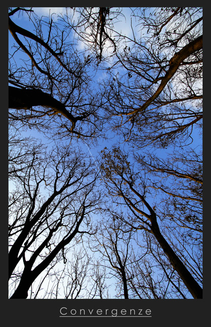 Convergenze