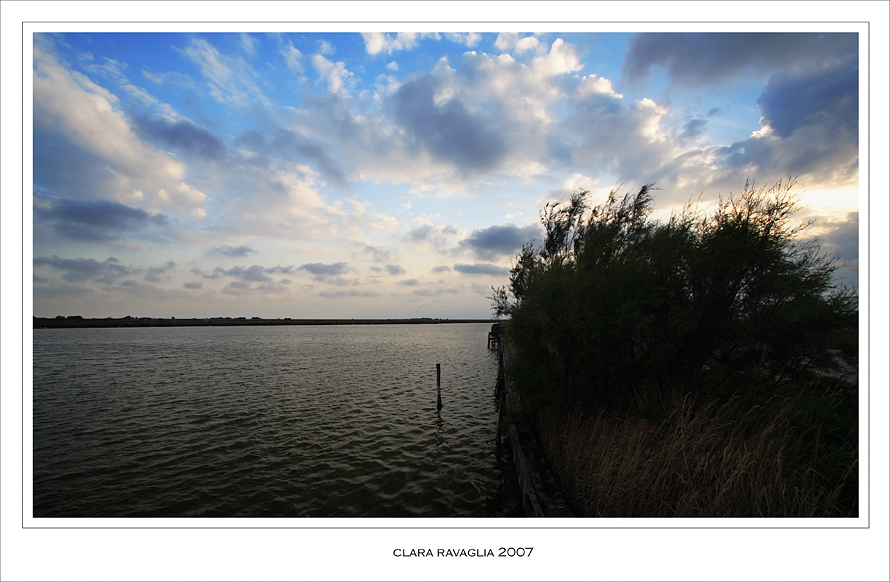 Sussurri e grida.... nel vento