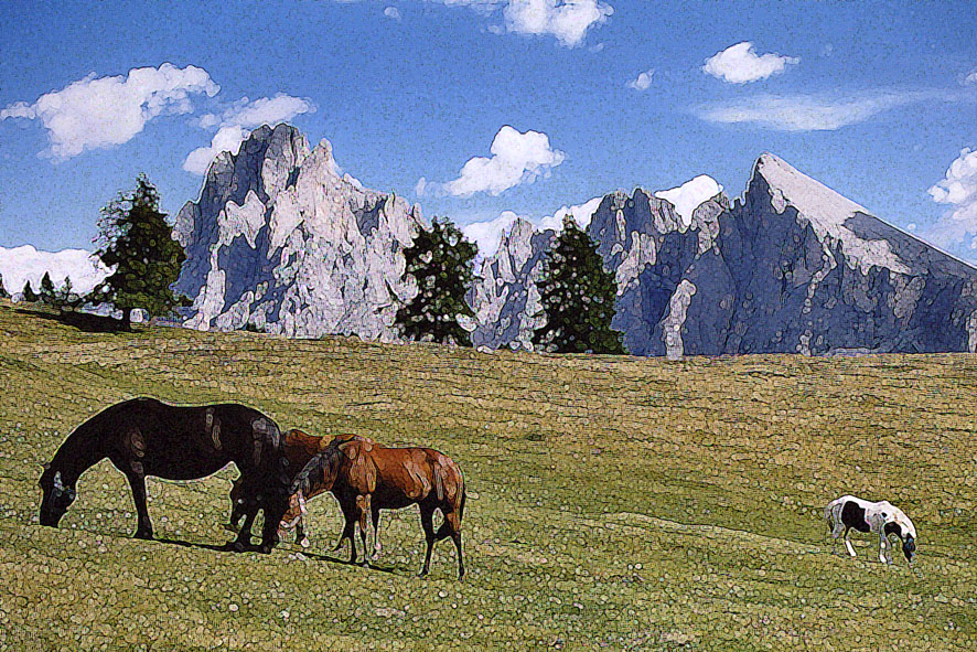 Cavalli all'Alpe di Siusi