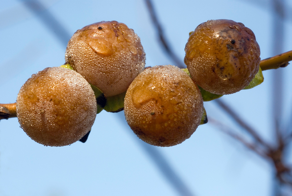 Il parco in miniatura