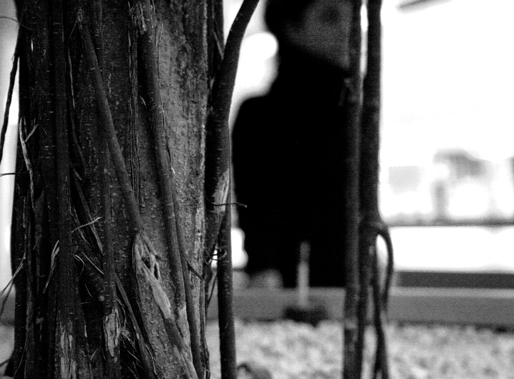 ti guardo e mi nascondo