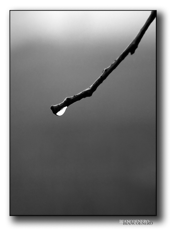 ::: IN UNA FREDDA DOMENICA MATTINA D'AUTUNNO :::