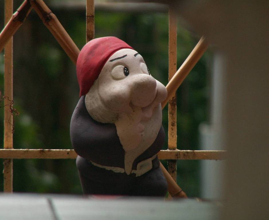 Cosa hai combinato, Nano???