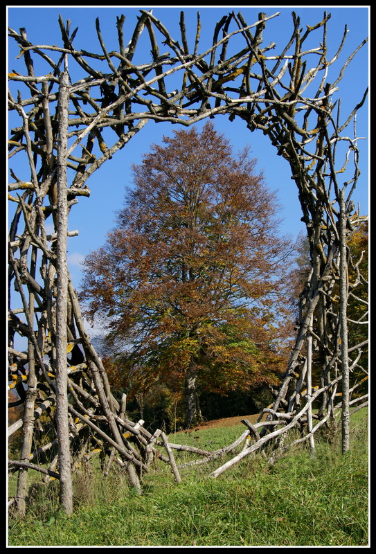 Suggestioni d'autunno