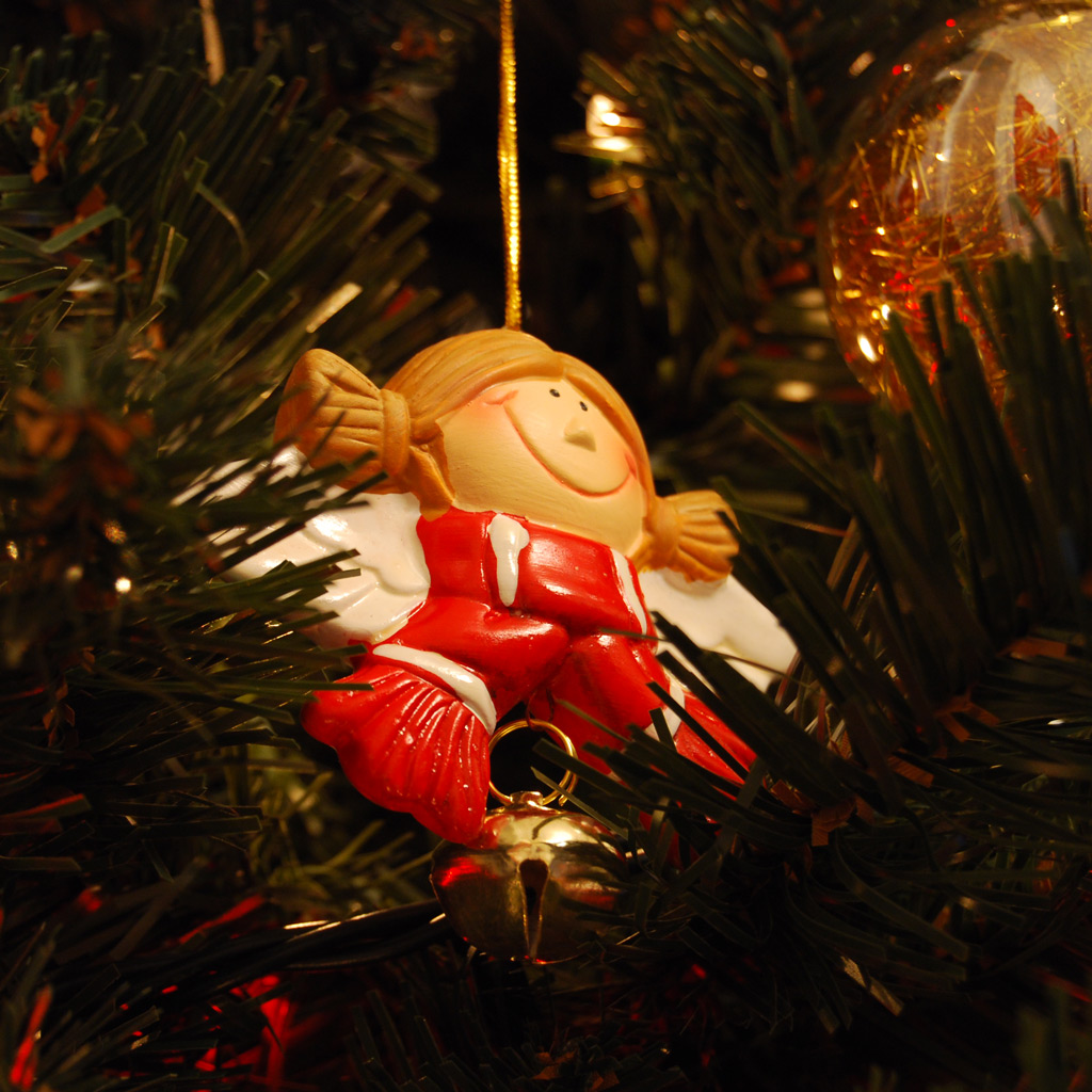 E' Natale, lasciatevi strappare un sorriso...