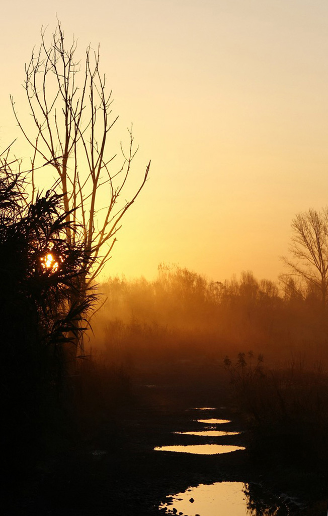 Alba sulla strada del fiume