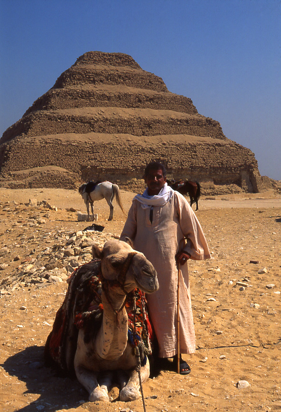 Cammelliere egiziano