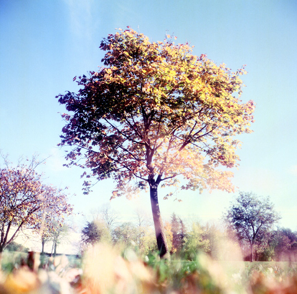 First Roll with Mat 124G - Photo 2