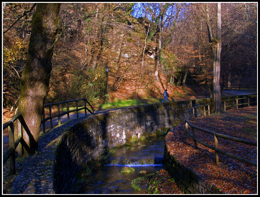 Verso un p� di pace...