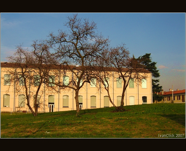 Vogliamo ricordarla cosi'...