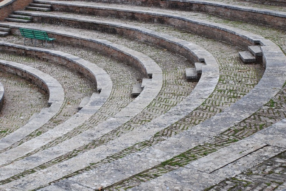 spettatore insolito all'arena