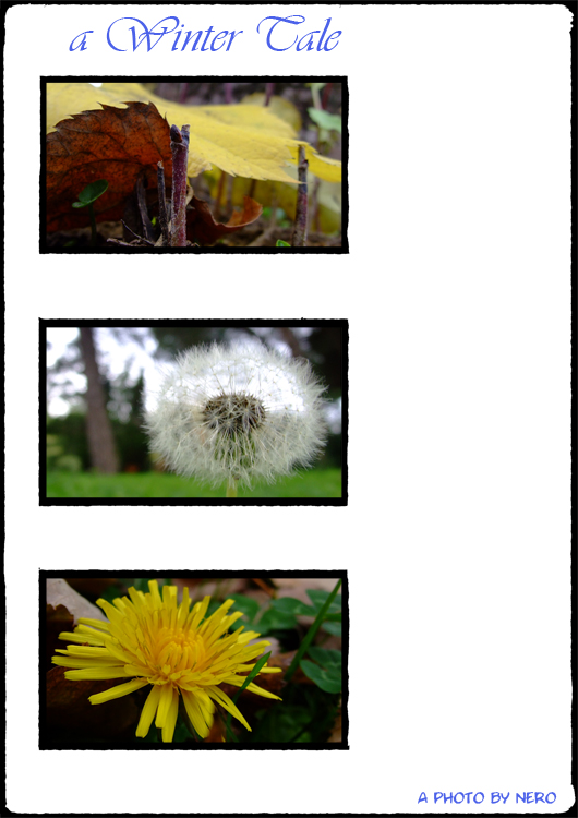 A Winter Tale