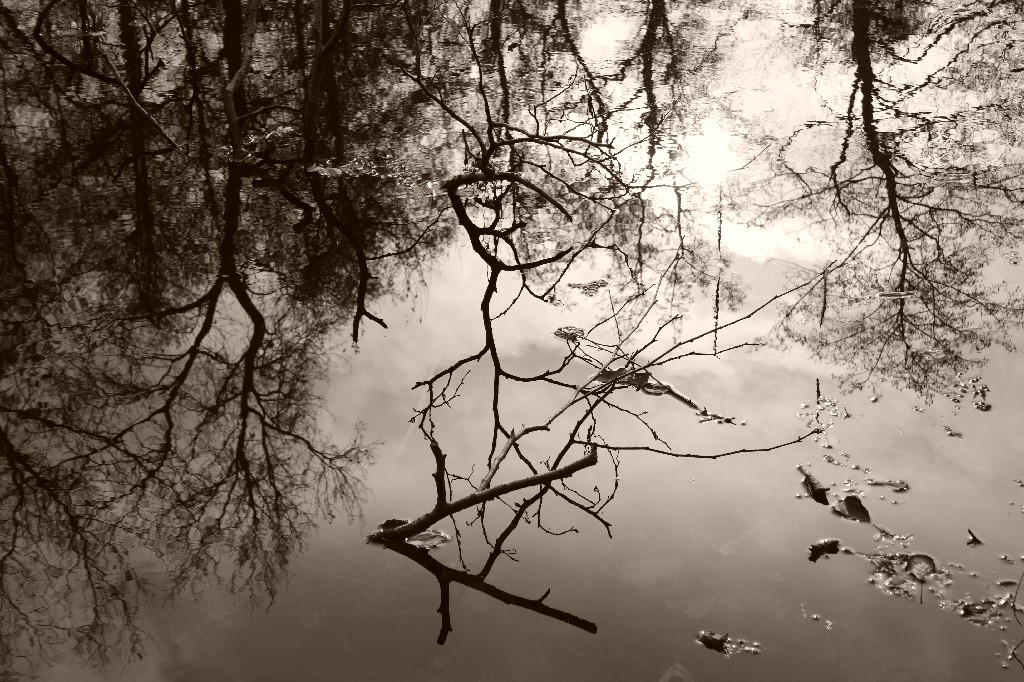 rilfessi autunnali...