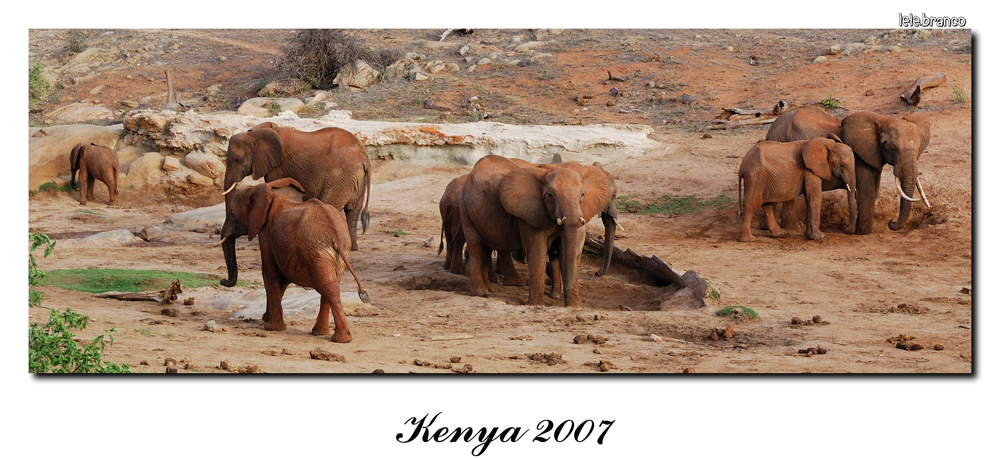 Loro non dimenticano. e purtroppo neanch'io!!!!