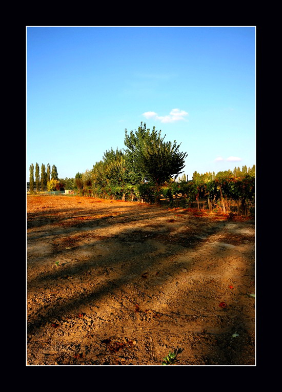 L'estate di S. Martino