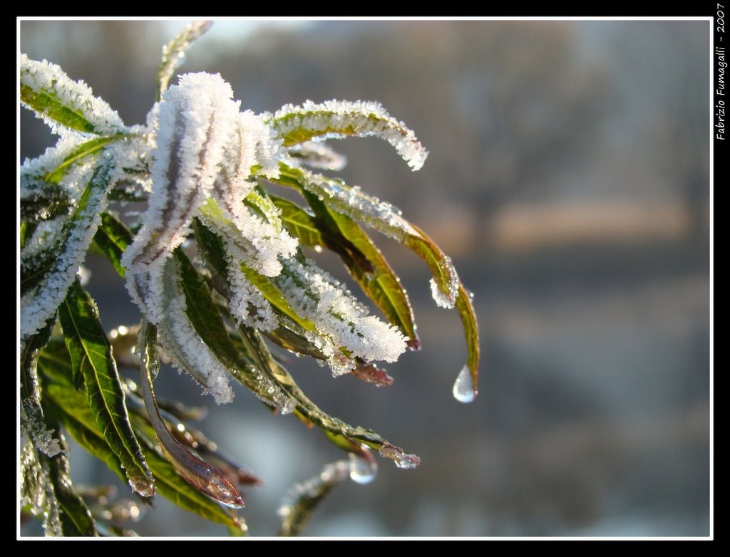 Si scioglie la brina