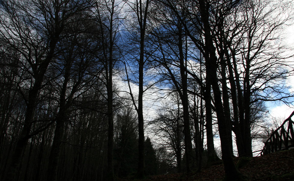 Un contro luce di Stagione