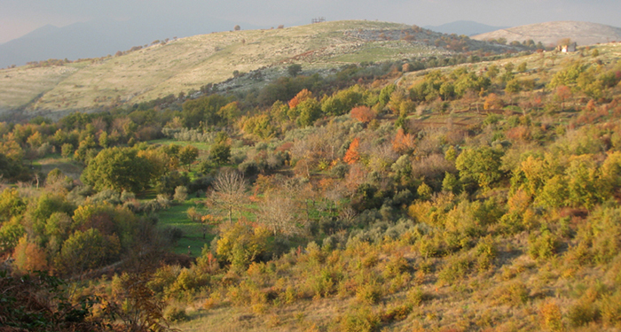 Colori d'autunno