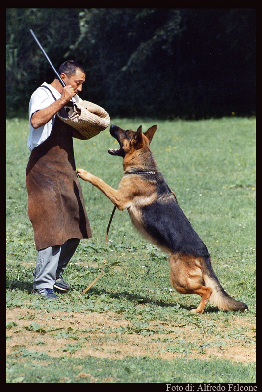 Attacco...stai attento!!!