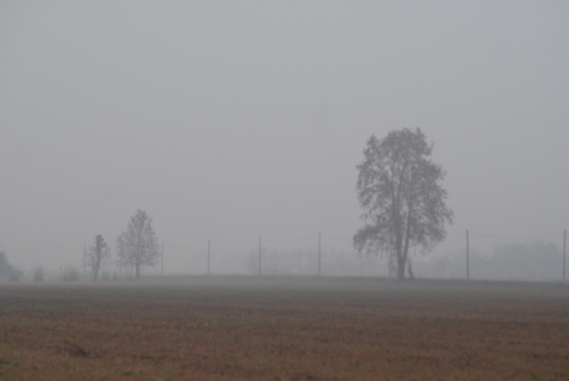 Campi verso Castel d'Azzano