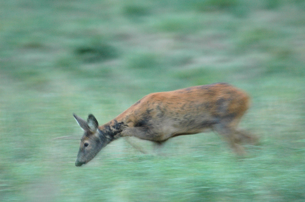 una prova di panning