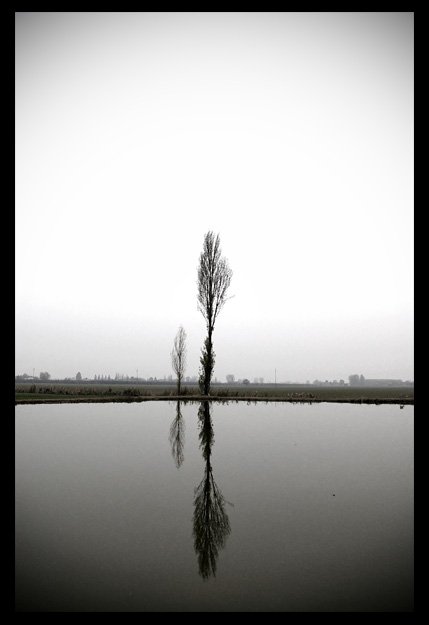 "Wish you were here"