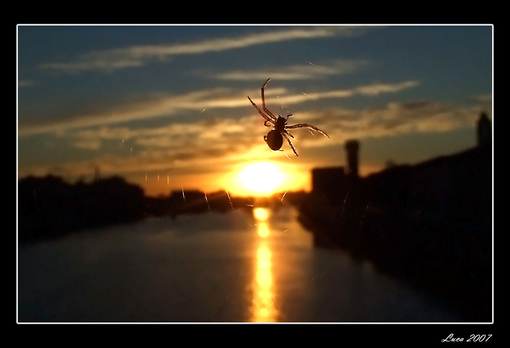 insolito romantico...