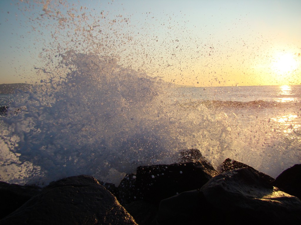 Anche il mare vuole volare