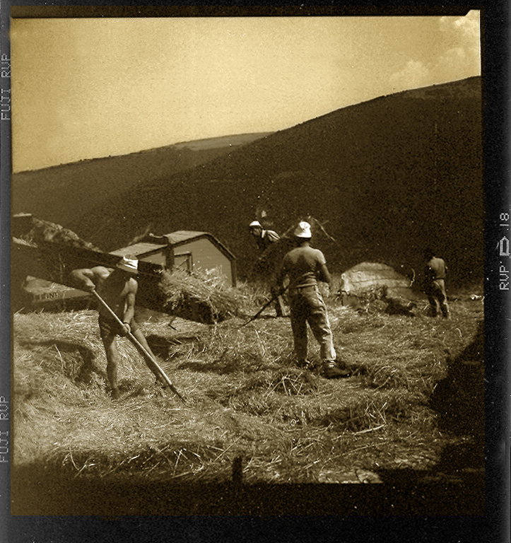 Trebbiatura tradizionale