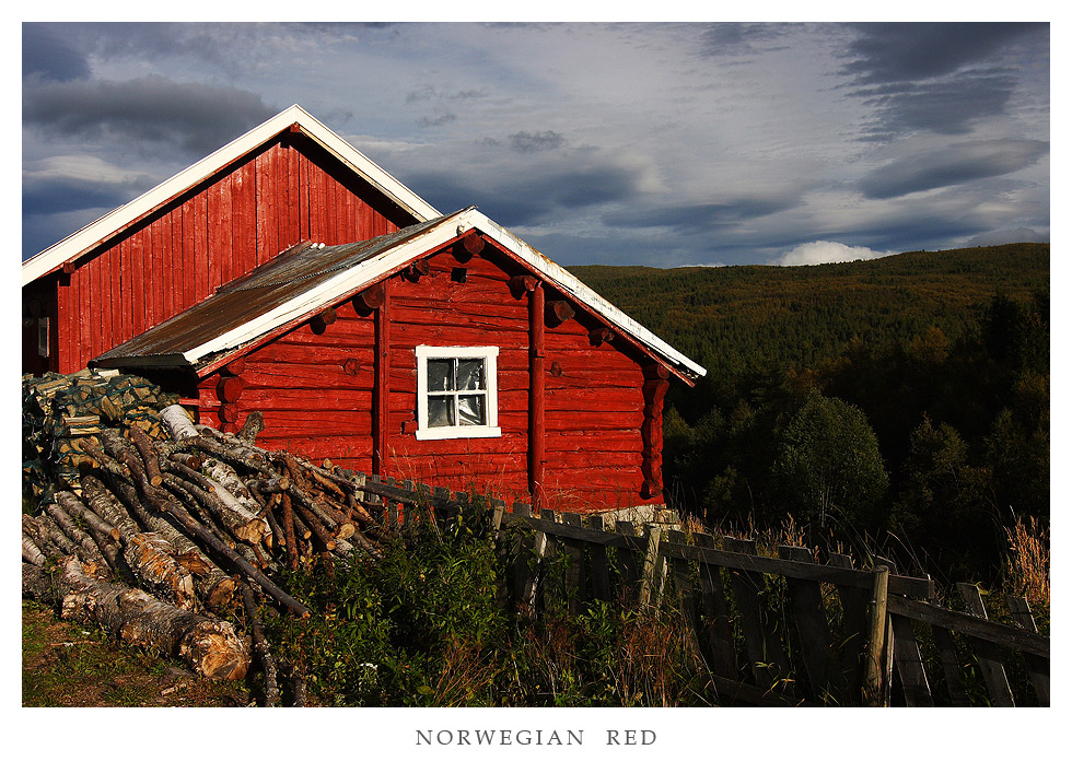 NORWEGIAN RED