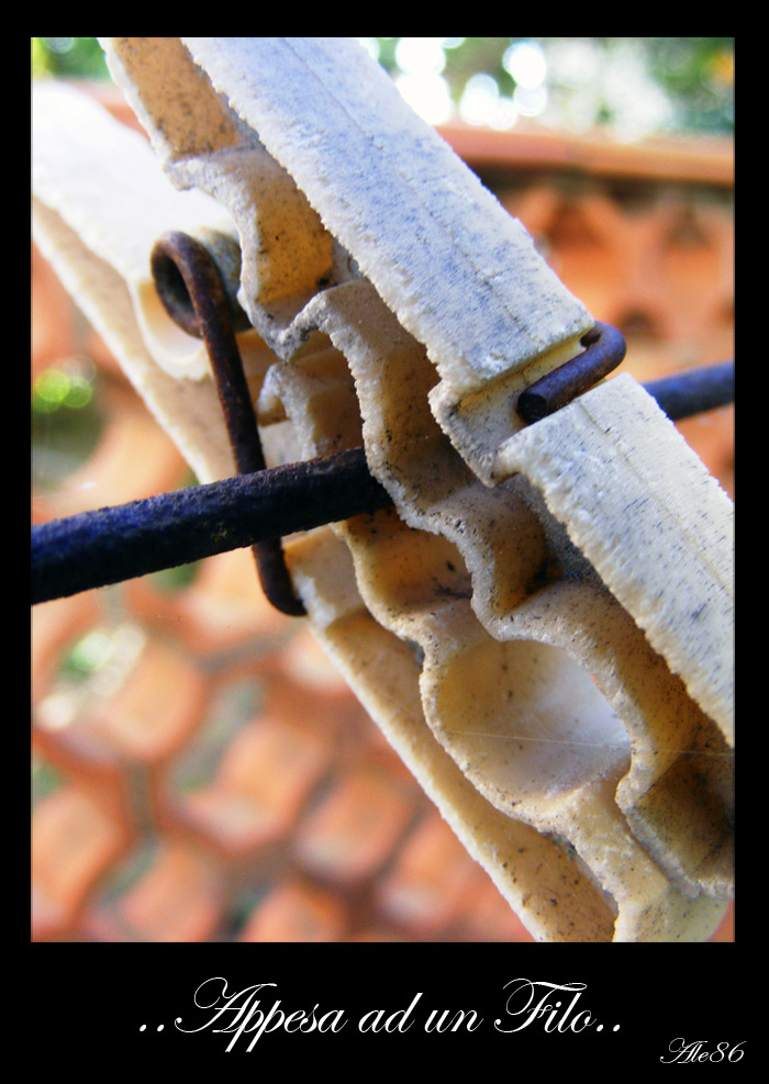 Appesa ad un filo...