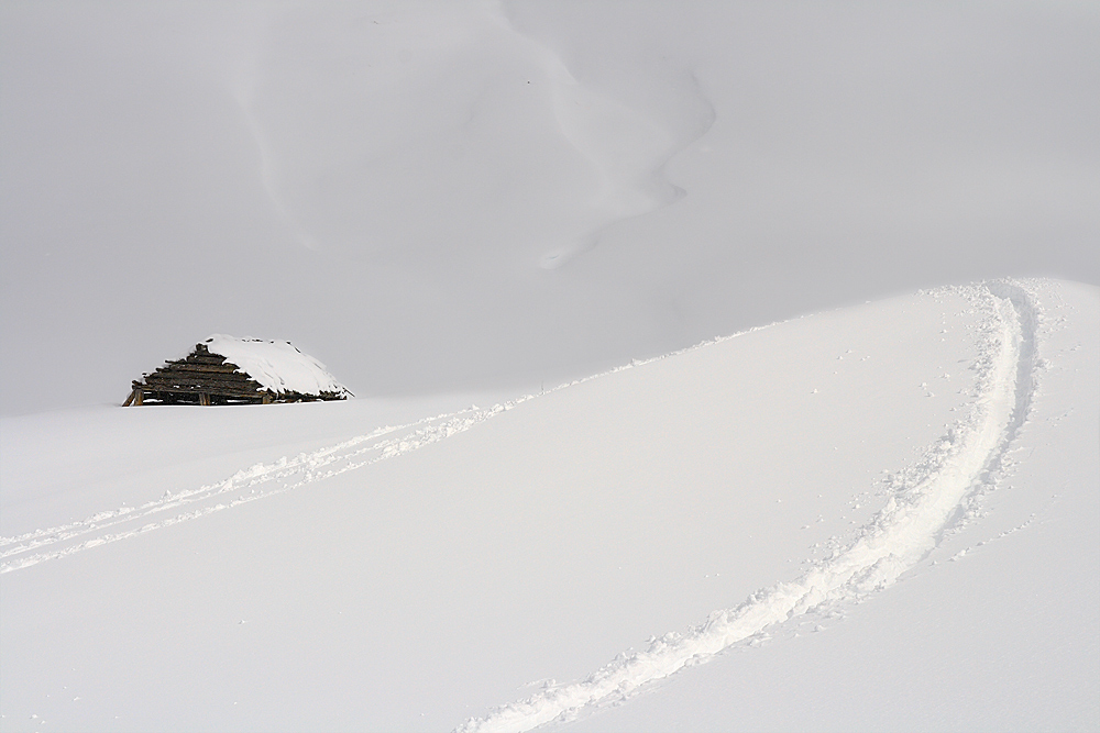 Segni e presenze in lande immacolate...