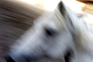 il vento che ti muove