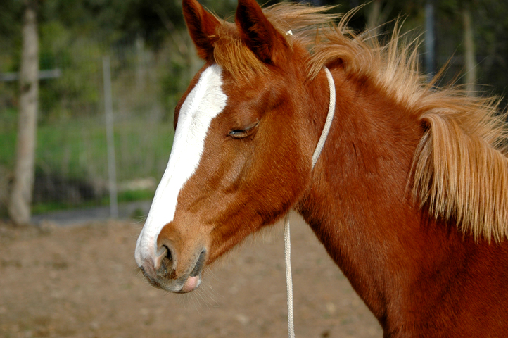 il sole bacia i belli!
