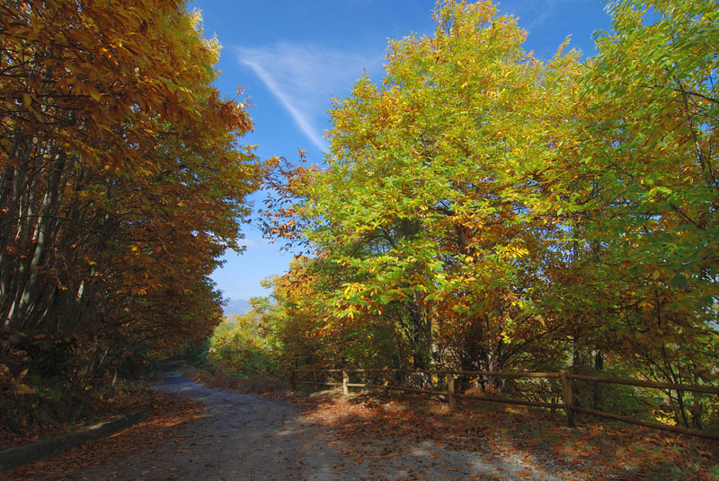 Partenio - Autunno 2007