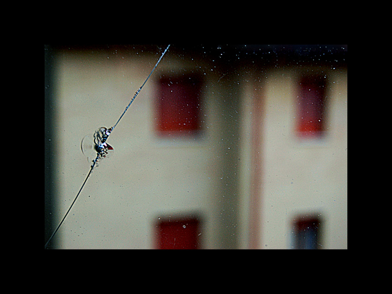 Ghost in the photograph