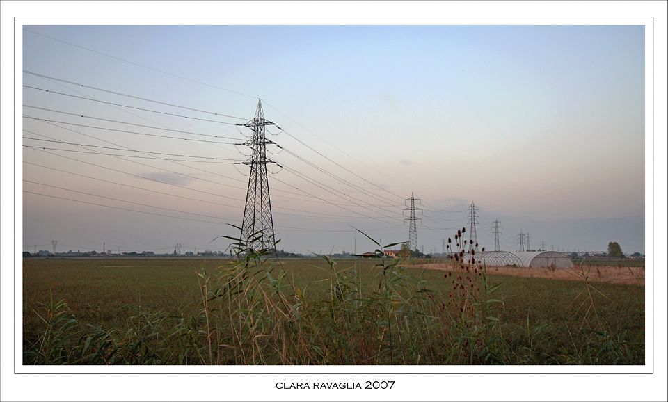 Campagna.... di citt�