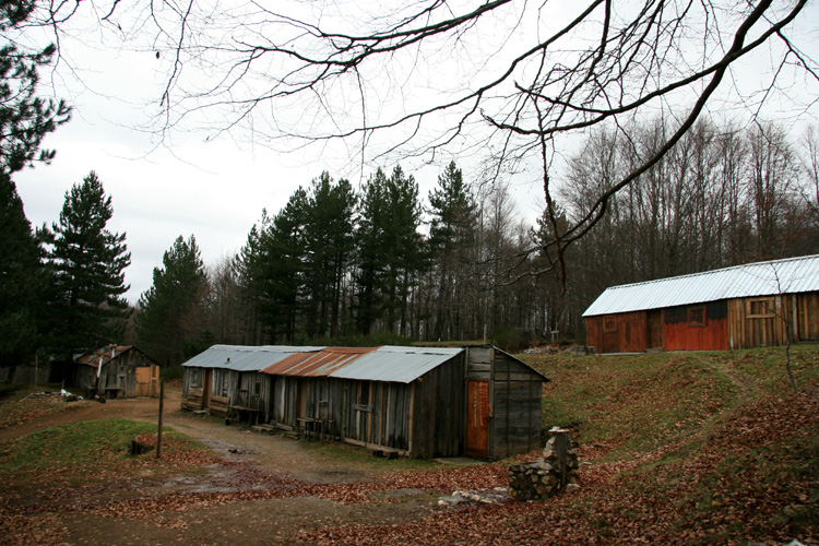 Reportage dalla Sila. Villaggio di Pastori in Inverno