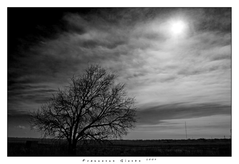 Tu, dall'alto, mi schernisci.