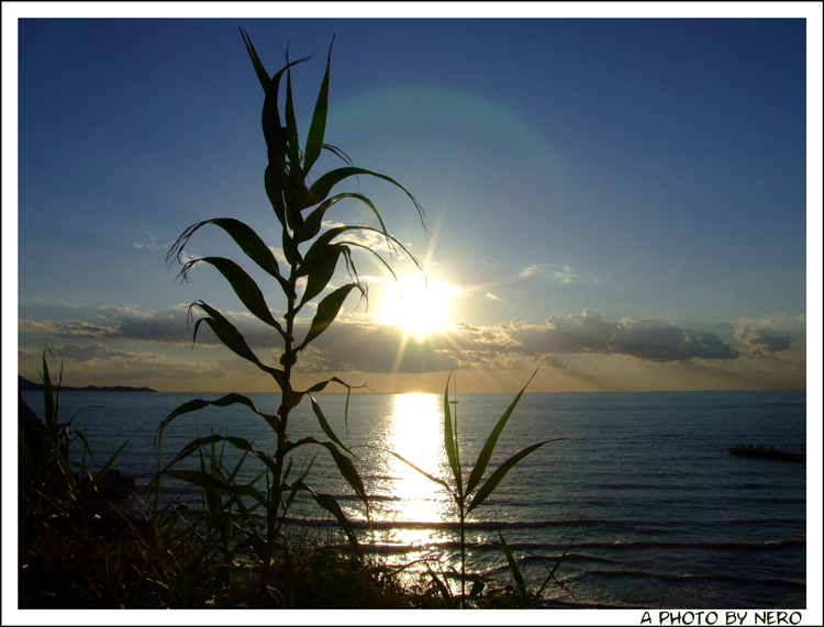 Tramonto verso Ischia