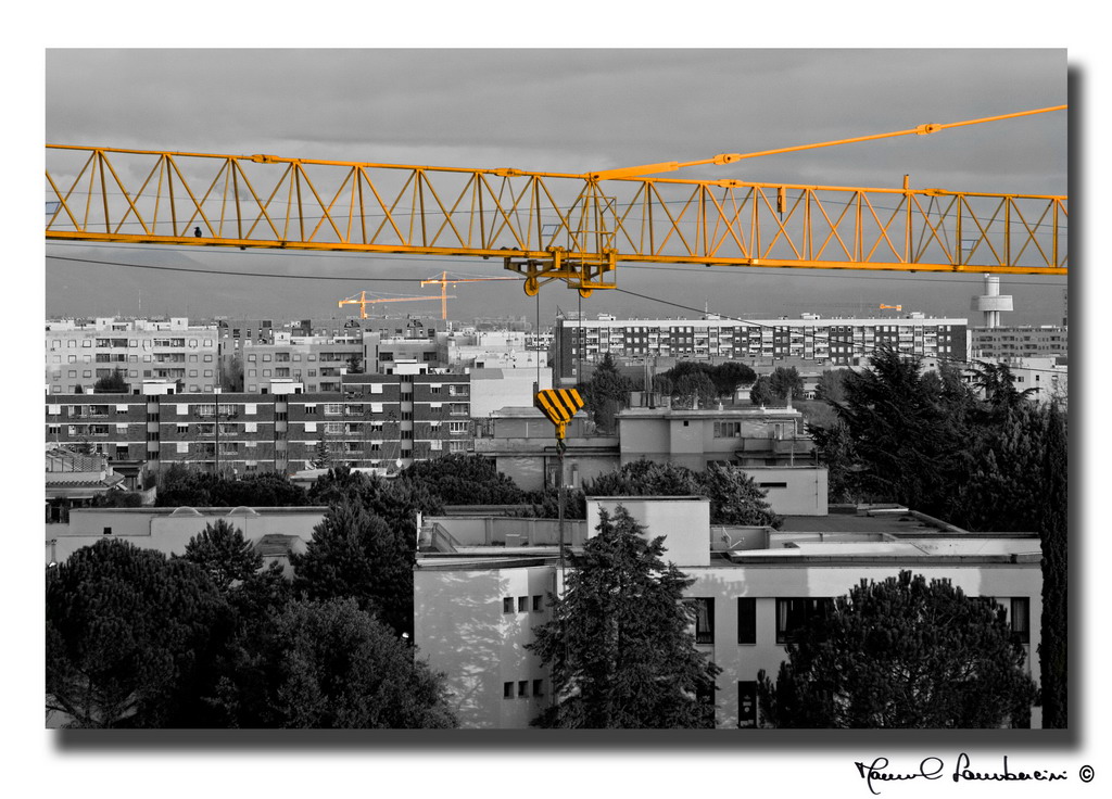 grigiore al contario..