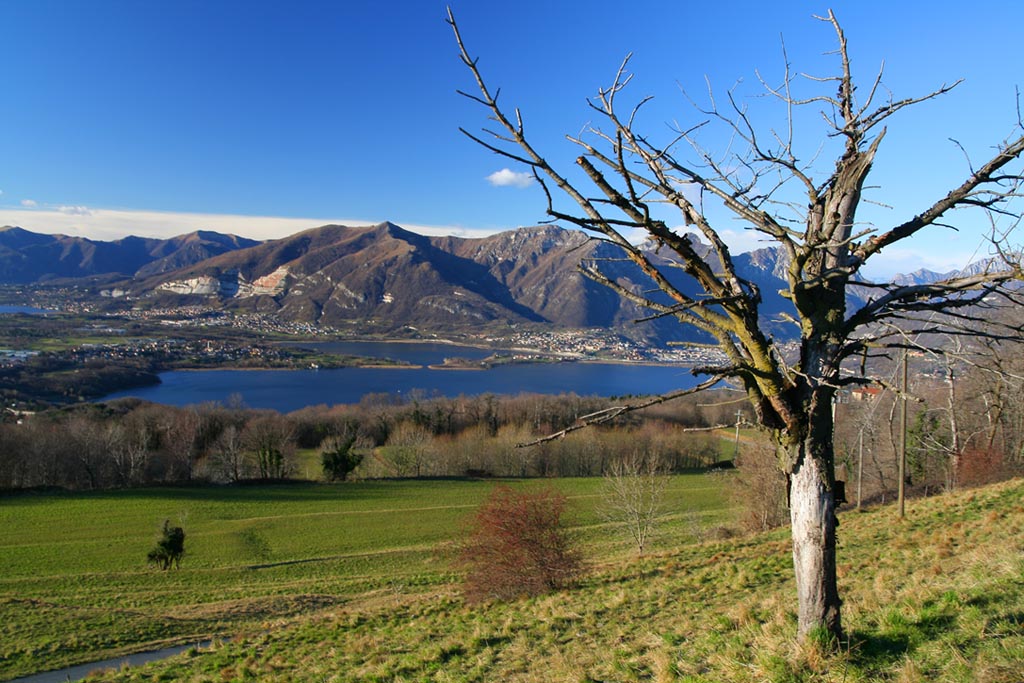 laghi brianzoli