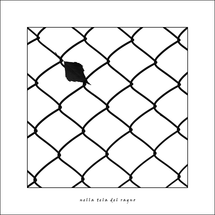 nella tela del ragno