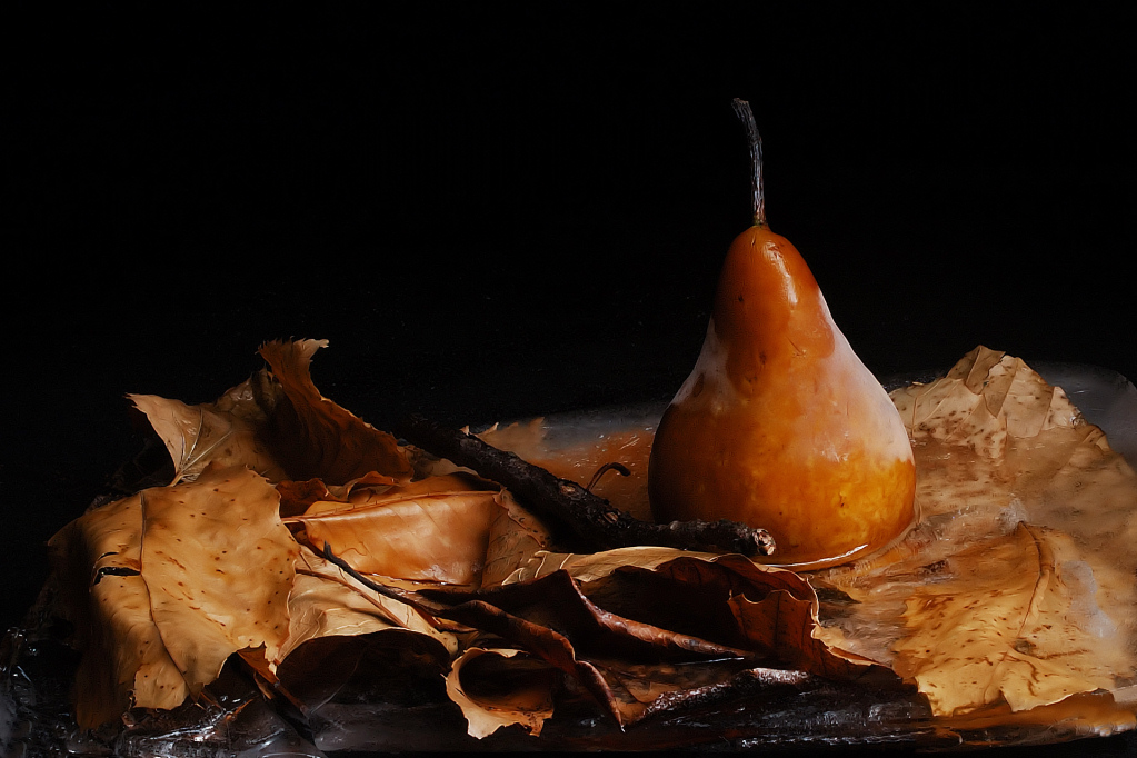 Natura Morta Sotto Zero