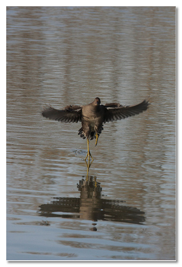 Oasi Lipu di Torrile(PR)