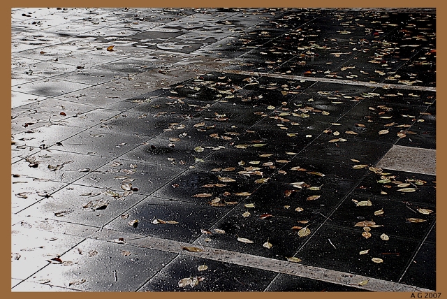 L'autunno � a terra