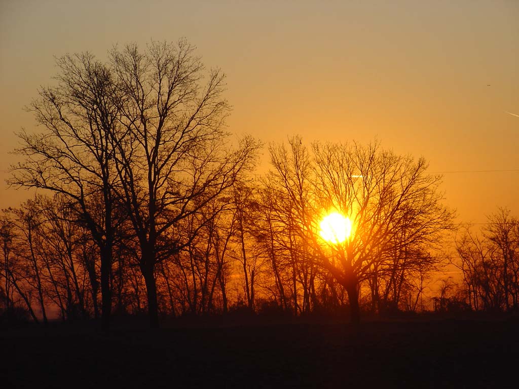 alba campagna novarese